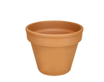 Mini Terracotta Pot | 5.5cm