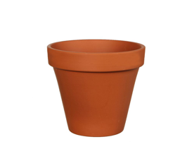 Terracotta Stan Pot | 11cm