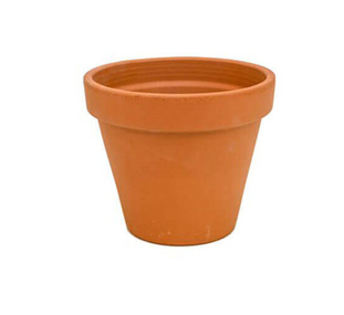 Terracotta Pot | 13cm