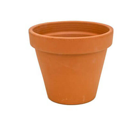 Terracotta Pot | 15.5cm