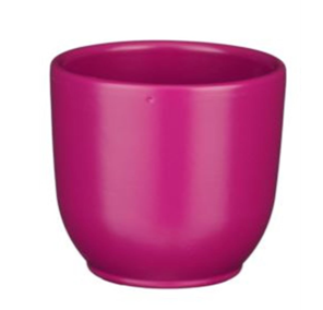 Tusca Fuchsia Small Plant Pot | 8.5cm