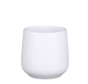 Matt White Small Amber Plant Pot | 8cm