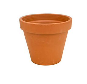 Terracotta Pot | 17cm